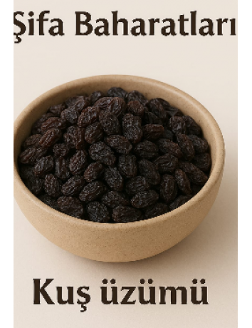 KUş üzümü