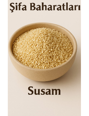 Susam 