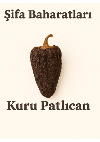 Kuru patlican
