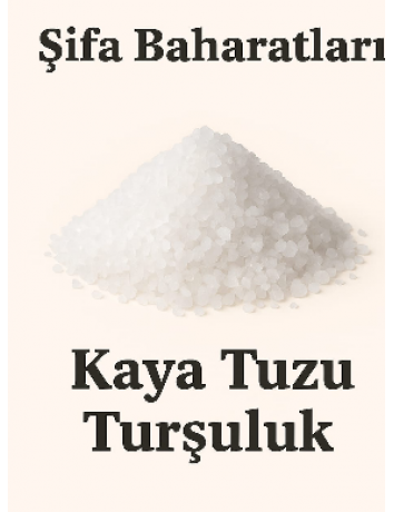 Turşuluk kaya tuzu