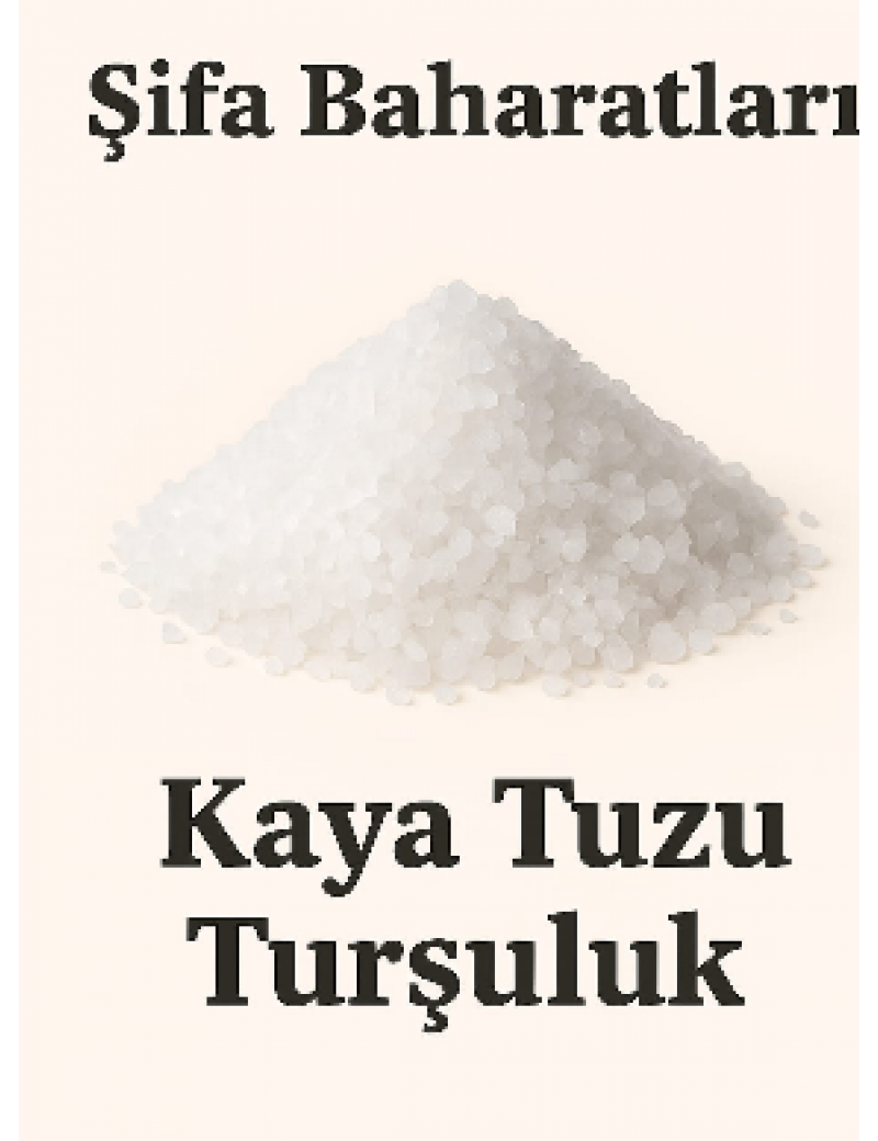 Turşuluk kaya tuzu